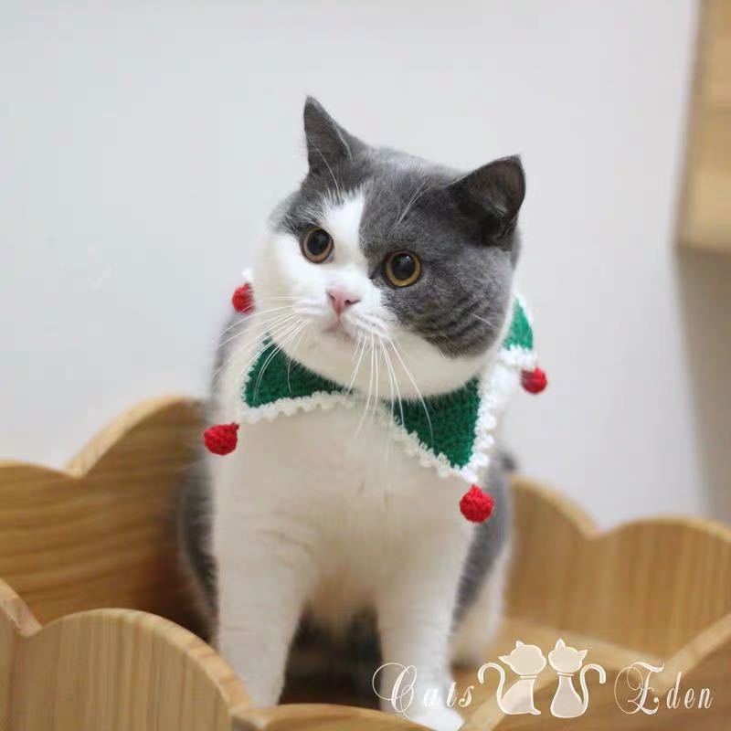 Christmas Pet Costume - handmade collars
