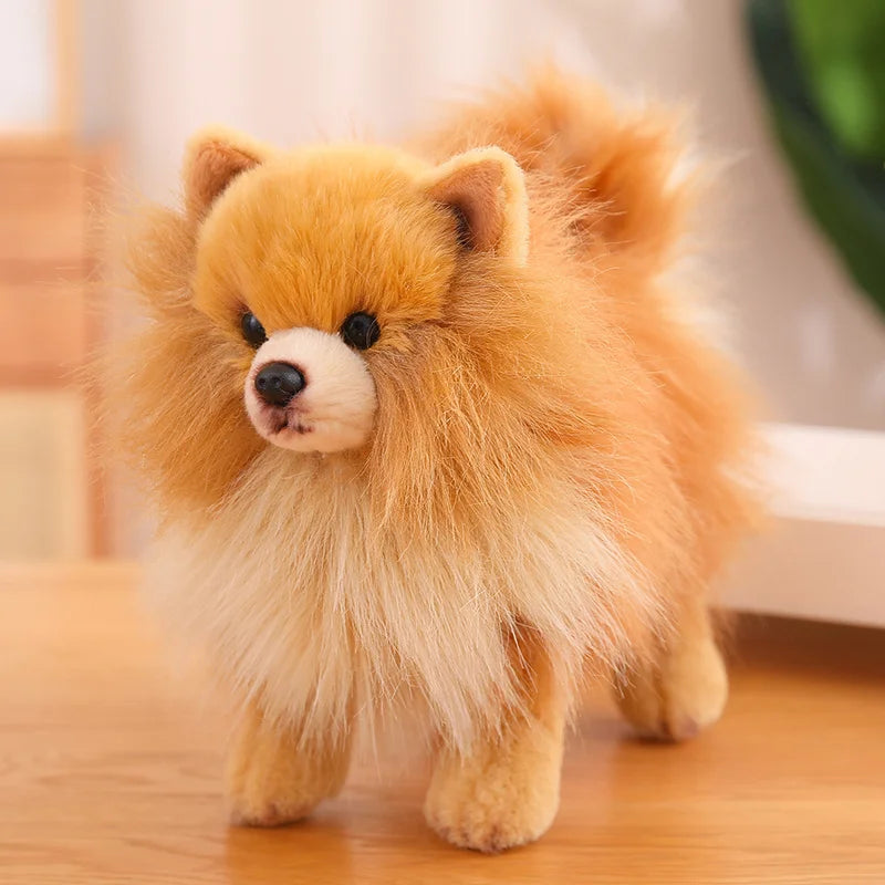 Pomeranian Plush Toy