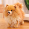 Pomeranian Plush Toy
