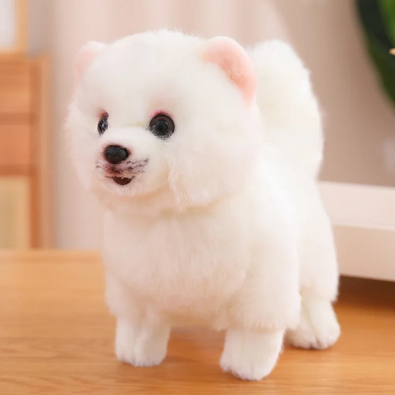 Pomeranian Plush Toy